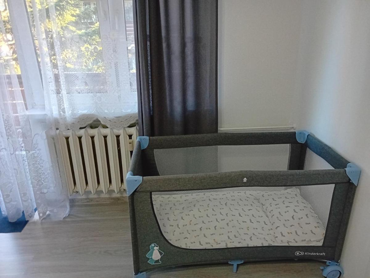זקופאנה Apartament Rodzinny מראה חיצוני תמונה